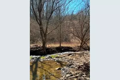 0 Brush Run, Blaine Township, PA 15312 - Photo 5