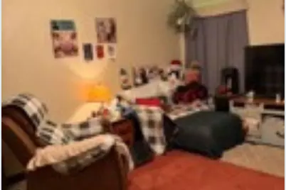 117 Delrose Dr, Liberty Boro, PA 15133 - Photo 7