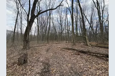 0 Orangeville Road, Sharpsville, PA 15853 - Photo 3