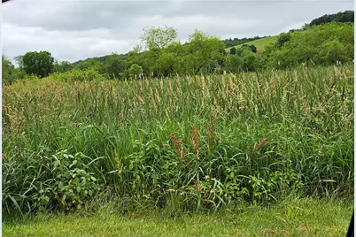 Lot 36-39 Baton Road, Ligonier Township, PA 15658 - Photo 3
