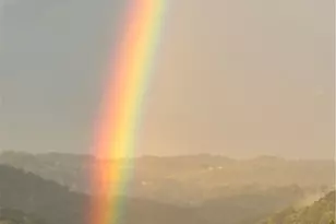 836 Forest Oaks Trail, North Huntingdon, PA 15642 - Photo 35