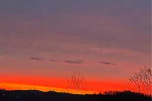 836 Forest Oaks Trail, North Huntingdon, PA 15642 - Photo 39