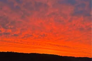 836 Forest Oaks Trail, North Huntingdon, PA 15642 - Photo 37