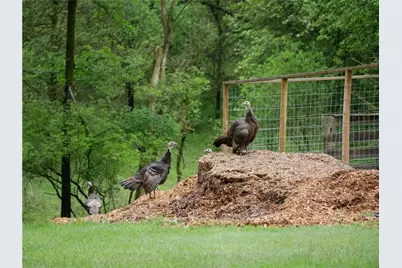 143 Gracie Lane, Adams Township, PA 16046 - Photo 31