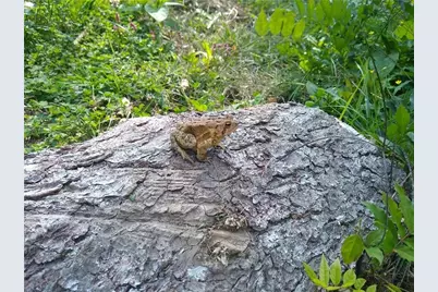 143 Gracie Lane, Adams Township, PA 16046 - Photo 27