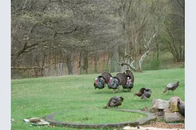 143 Gracie Lane, Adams Township, PA 16046 - Photo 29