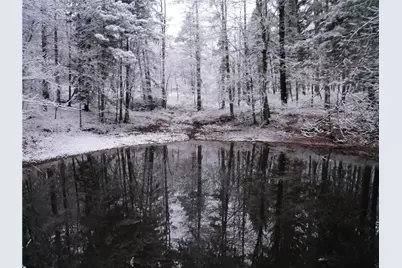 143 Gracie Lane, Adams Township, PA 16046 - Photo 21