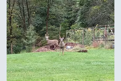 143 Gracie Lane, Adams Township, PA 16046 - Photo 39