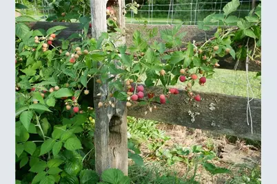 143 Gracie Lane, Adams Township, PA 16046 - Photo 23