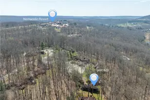 620 The Maples, Wharton Township, PA 15437 - Photo 37