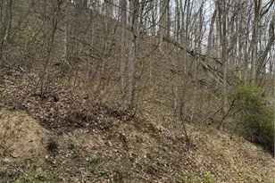 0 Coal Bank Hollow Rd, Bethel Township, PA 16226 - Photo 1