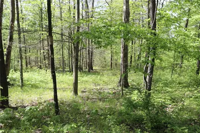 5450 Route 711, Fairfeld Township, PA 15944 - Photo 19