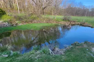 176 Duncan Rd, Irwin Township, PA 16038 - Photo 43