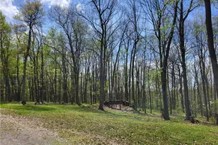 45 Coulter Estates Dr, Hanover Township, PA 15021 - Photo 45
