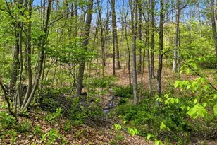 412 Golden Grove Rd, Economy, PA 15005 - Photo 47