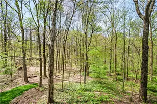 145 McClain Rd, Chippewa Township, PA 15010 - Photo 41
