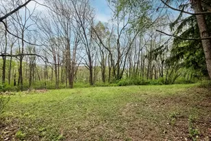 353 Thompson Hill Rd, Independence, PA 15001 - Photo 45
