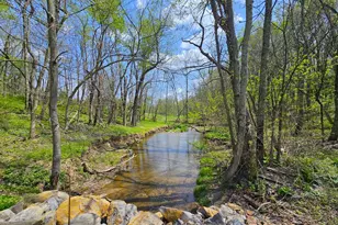 950 Davis School Rd, South Strabane, PA 15301 - Photo 49