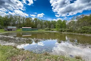 401 Beefalo Rd, Kittanning, PA 16226 - Photo 35