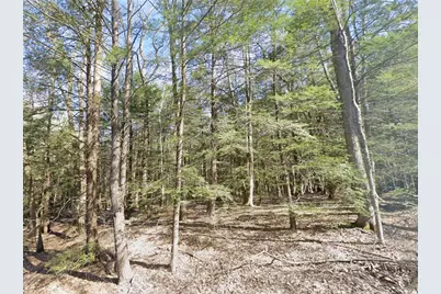 00 Stagers Rd, , PA 15958 - Photo 5