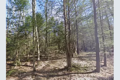 00 Stagers Rd, , PA 15958 - Photo 1