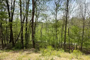 345 Dutch Run Rd, Franklin Township, PA 15370 - Photo 21