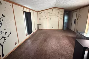 207 Corvi St, Fairfeld Township, PA 15923 - Photo 13
