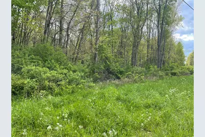 0 Mercer Road, Delaware Township, PA 16125 - Photo 3