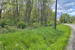 0 Mercer Rd, Delaware Township, PA 16125 - Photo 1