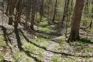 Rd# 1 Melcroftroad Melcroft, Saltlick Township, PA 15462 - Photo 13