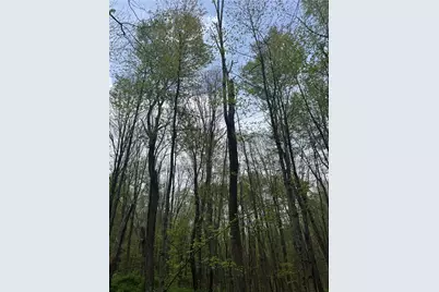 0 Grove Rd, Quemahoning Township, PA 15563 - Photo 25