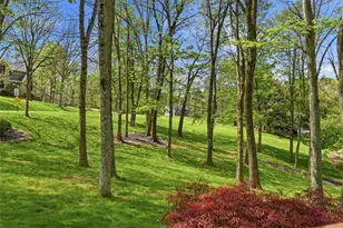 98 Firethorn Rd, Economy, PA 15005 - Photo 43