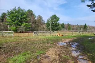 50 Laurel, Leeper, PA 16233 - Photo 15