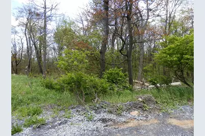 Lot 79 Hawks Nest Rd, Allegheny Township, PA 15926 - Photo 3