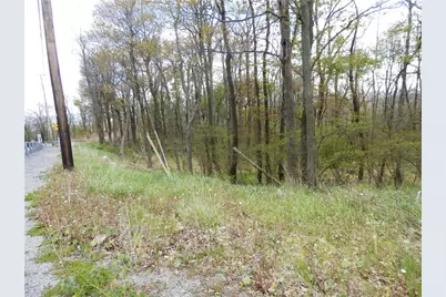 Lot 79 Hawks Nest Rd, Allegheny Township, PA 15926 - Photo 5