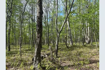 Lot 3 & 4 Killarney Road, Springfield Township, PA 15464 - Photo 23