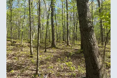 Lot 3 & 4 Killarney Road, Springfield Township, PA 15464 - Photo 7