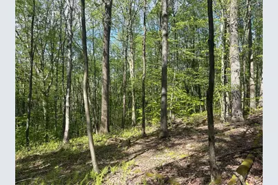 Lot 3 & 4 Killarney Road, Springfield Township, PA 15464 - Photo 13