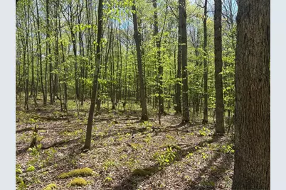 Lot 3 & 4 Killarney Road, Springfield Township, PA 15464 - Photo 25