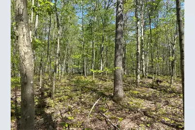 Lot 3 & 4 Killarney Road, Springfield Township, PA 15464 - Photo 21
