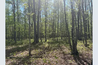 Lot 3 & 4 Killarney Road, Springfield Township, PA 15464 - Photo 17