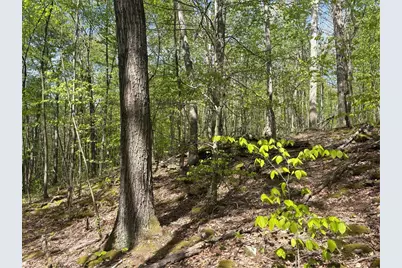 Lot 3 & 4 Killarney Road, Springfield Township, PA 15464 - Photo 25