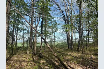 Lot 3 & 4 Killarney Road, Springfield Township, PA 15464 - Photo 5