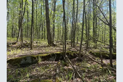 Lot 3 & 4 Killarney Road, Springfield Township, PA 15464 - Photo 15