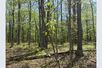 Lot 3 & 4 Killarney Road, Springfield Township, PA 15464 - Photo 3