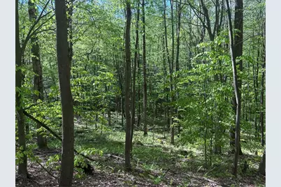 Lot 3 & 4 Killarney Road, Springfield Township, PA 15464 - Photo 3