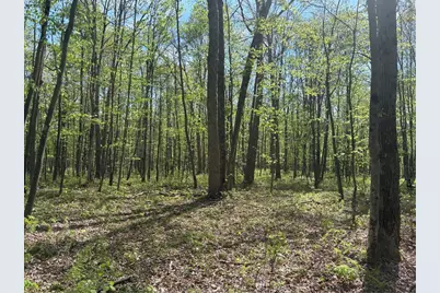 Lot 3 & 4 Killarney Road, Springfield Township, PA 15464 - Photo 19