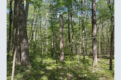 Lot 3 & 4 Killarney Road, Springfield Township, PA 15464 - Photo 23