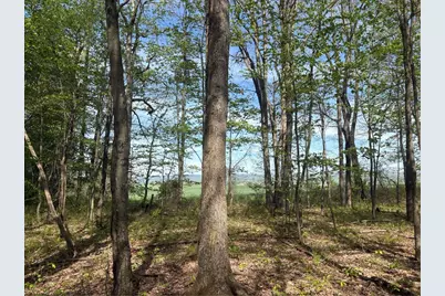Lot 3 & 4 Killarney Road, Springfield Township, PA 15464 - Photo 15