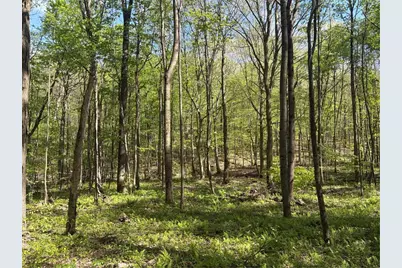 Lot 3 & 4 Killarney Road, Springfield Township, PA 15464 - Photo 27